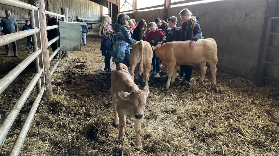 A LA RENCONTRE DES PRODUCTEURS