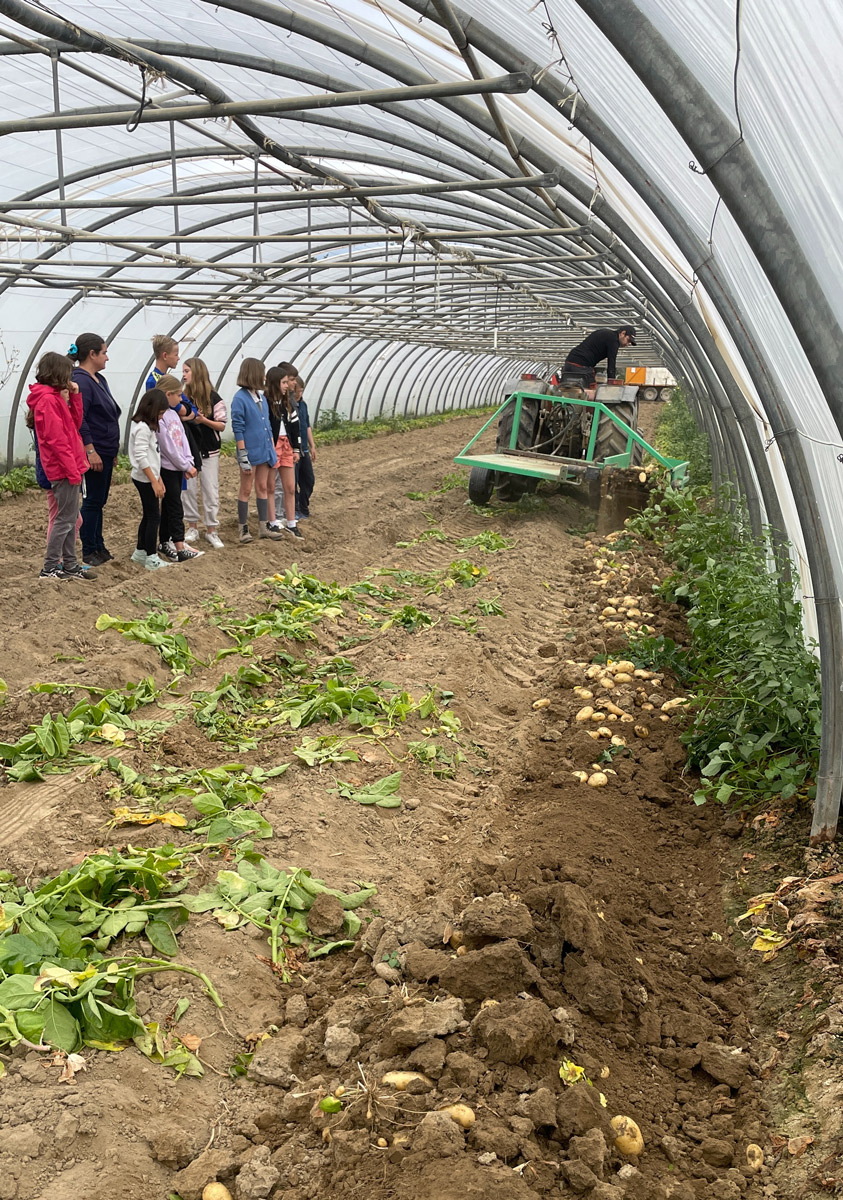 Les producteurs locaux